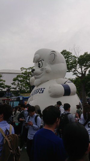 まこ