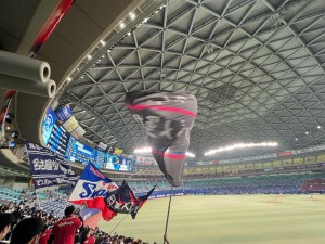 豆