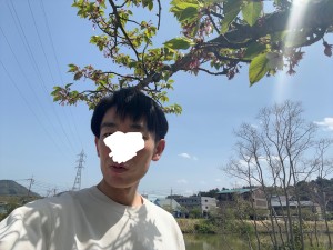 パルム