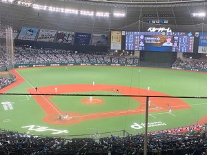 たけ