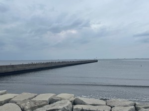 きま