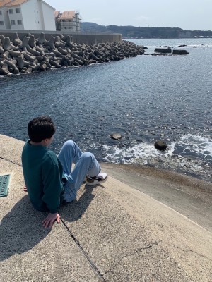 たいせい