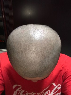 はんさつ