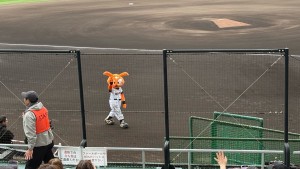 いっちゃん