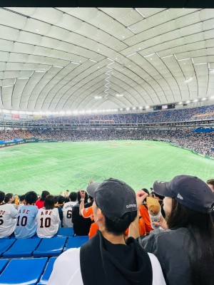 たいせー