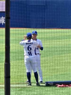 やぎ