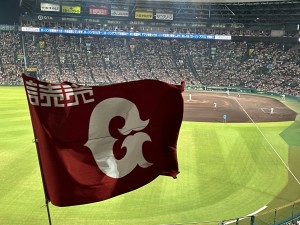 バタフライ55