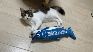 ちー