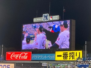 なっかー