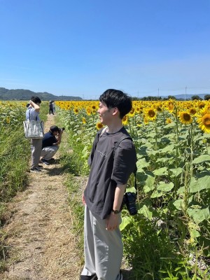 けん