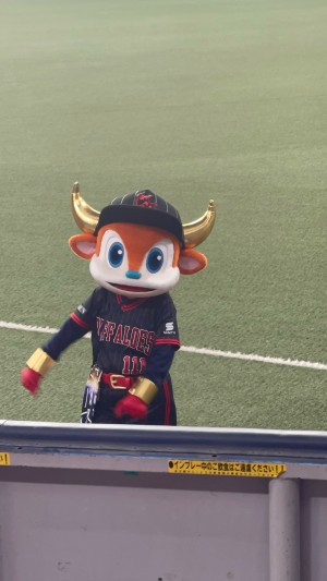 しーた