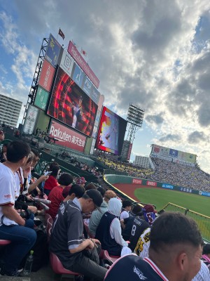 かいと
