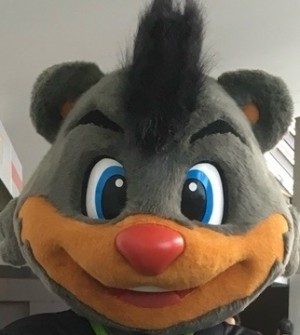ネコサラ