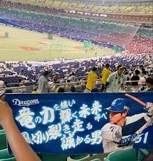 竜の力纏う