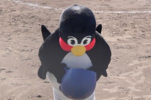 ちなつば