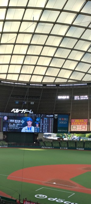 やつ