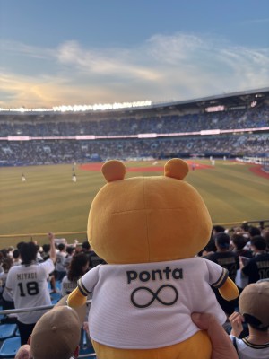 たま