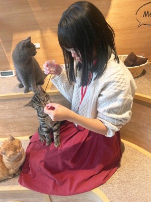 もも