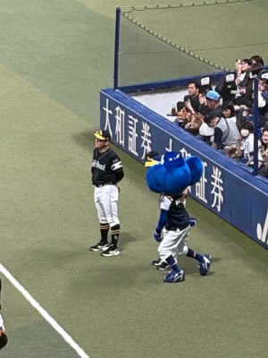 だーお