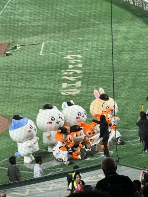 みそぱぱ