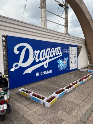 カズ